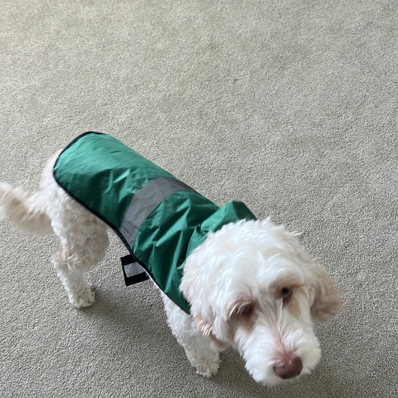 Green or Blavk reversible Dog Raincoat with Reflective Stripe - Picture 8 of 8